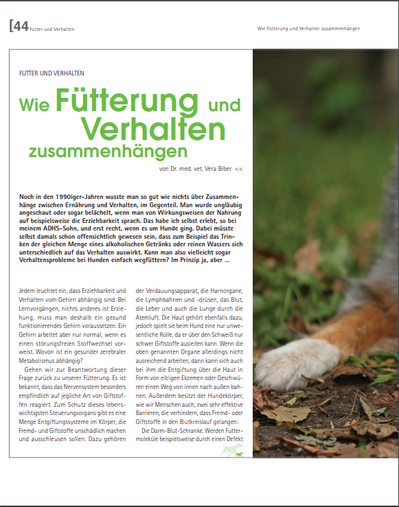 Foto Zeitungsartikel