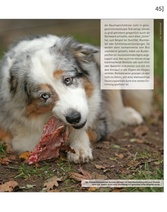 Foto Zeitungsartikel