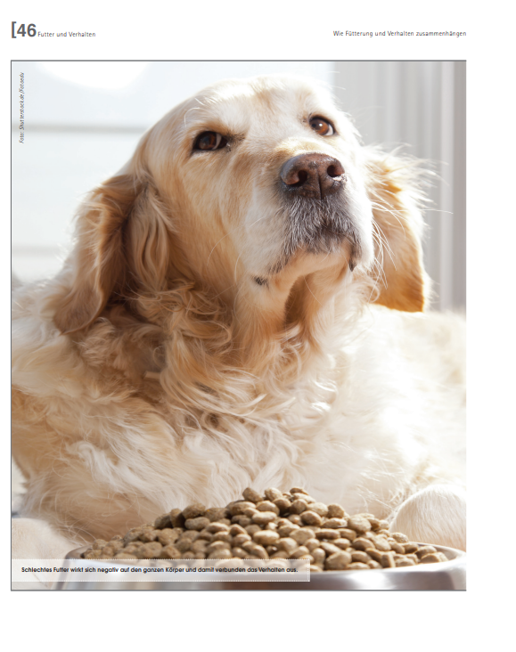 Foto Zeitungsartikel