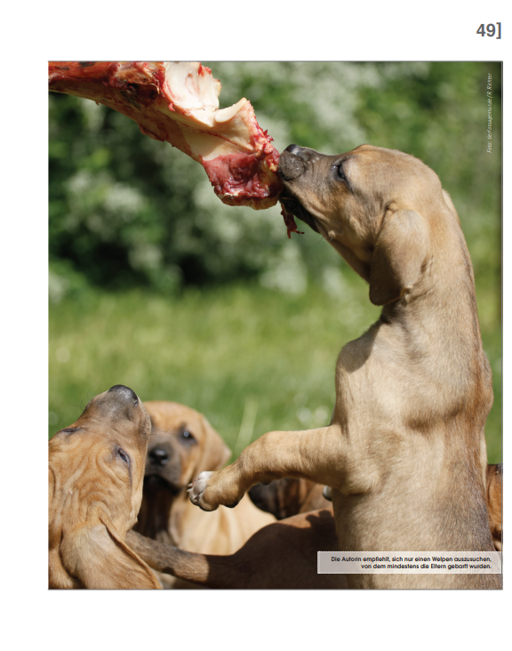 Foto Zeitungsartikel