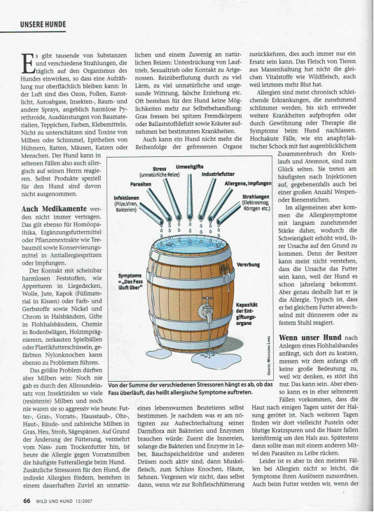 Foto Zeitungsartikel