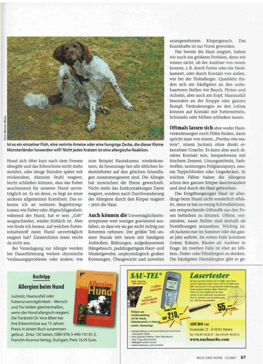 Foto Zeitungsartikel