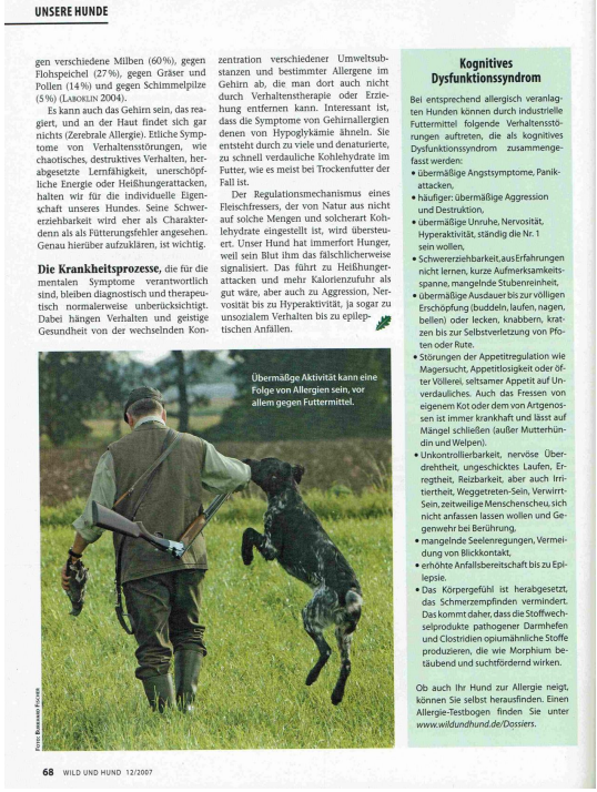 Foto Zeitungsartikel