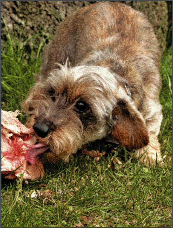 Foto Zeitungsartikel