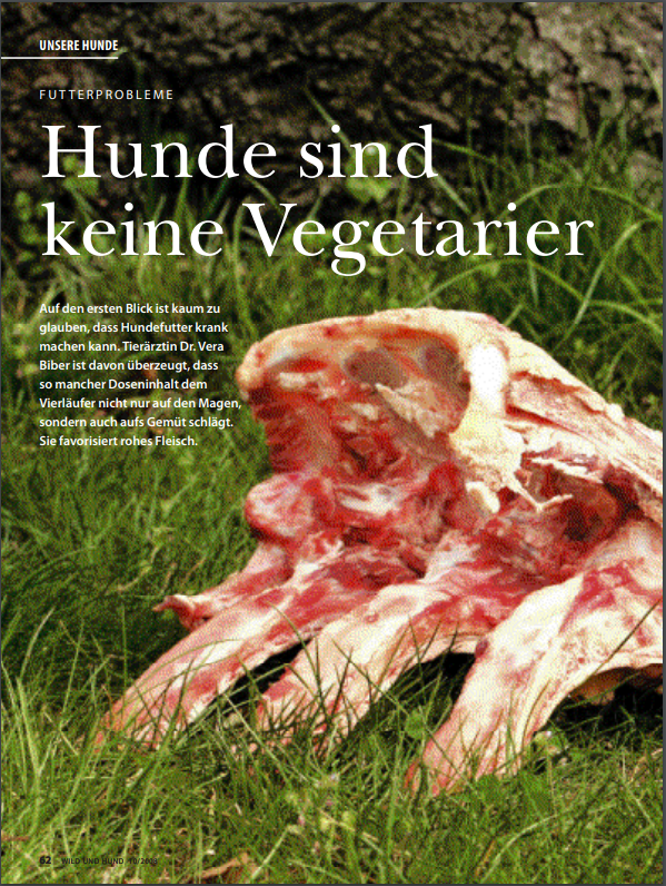 Foto Zeitungsartikel