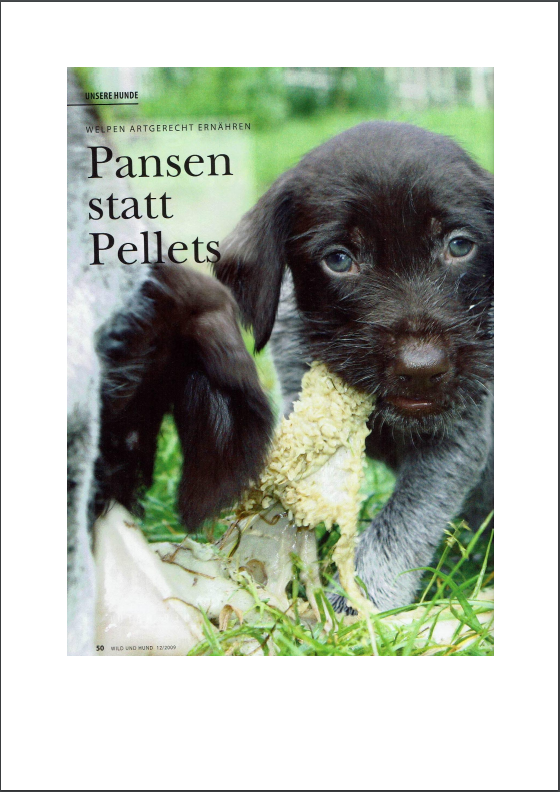 Foto Zeitungsartikel