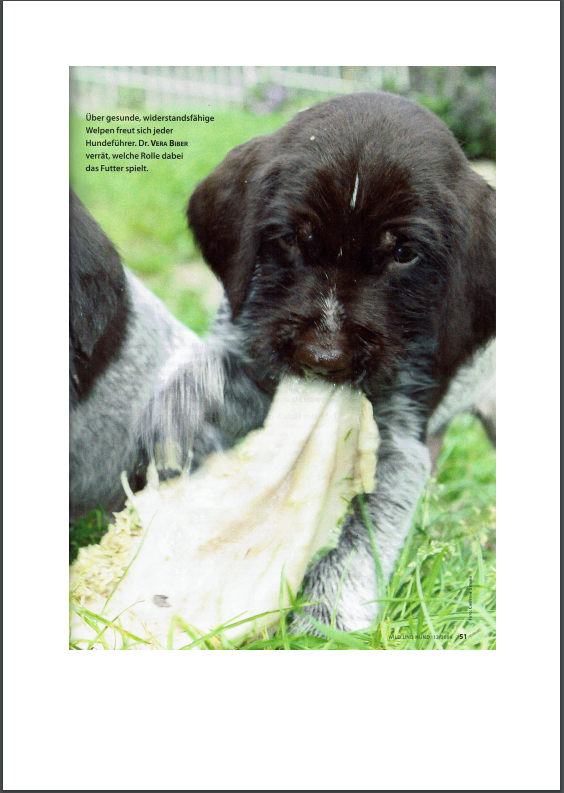 Foto Zeitungsartikel