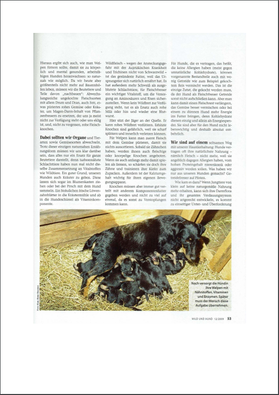 Foto Zeitungsartikel