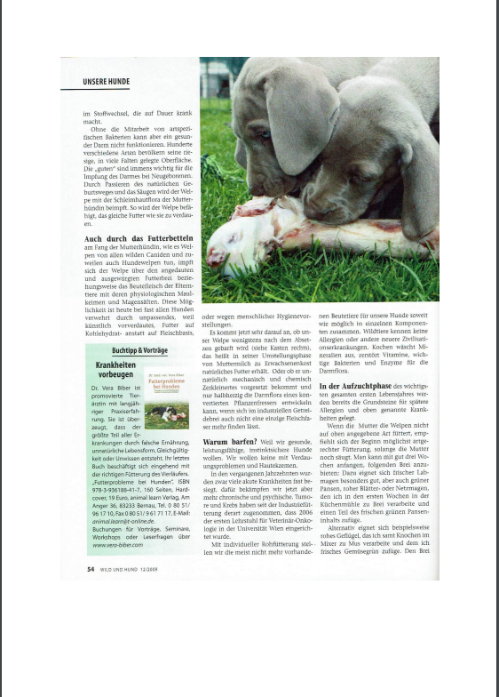 Foto Zeitungsartikel