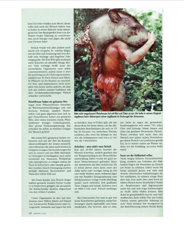 Foto Zeitungsartikel