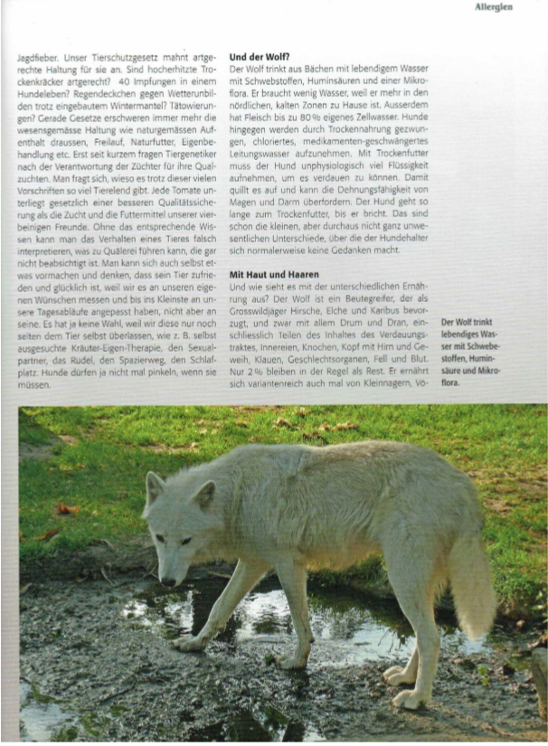 Foto Zeitungsartikel