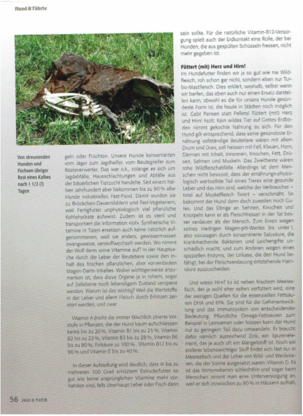 Foto Zeitungsartikel