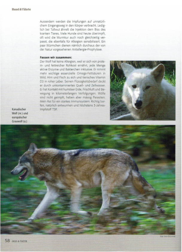 Foto Zeitungsartikel